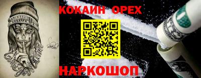 индика Можга