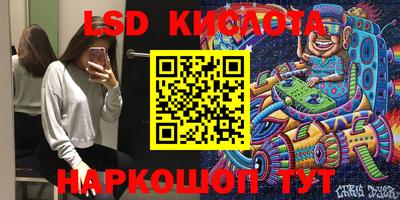 индика Можга