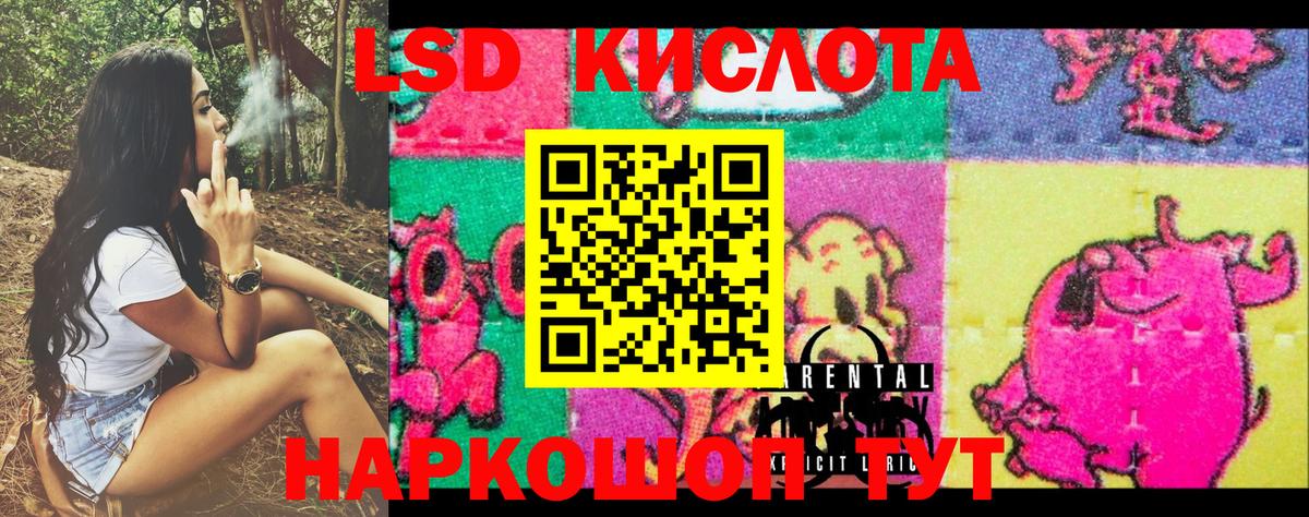 ГАШ Сосновый Бор