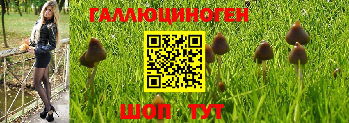 Сосновый Бор  Галлюциногенные грибы Magic Shrooms  Галлюциногенные грибы Magic Shrooms  купить наркотики цена  Вход с VPN 